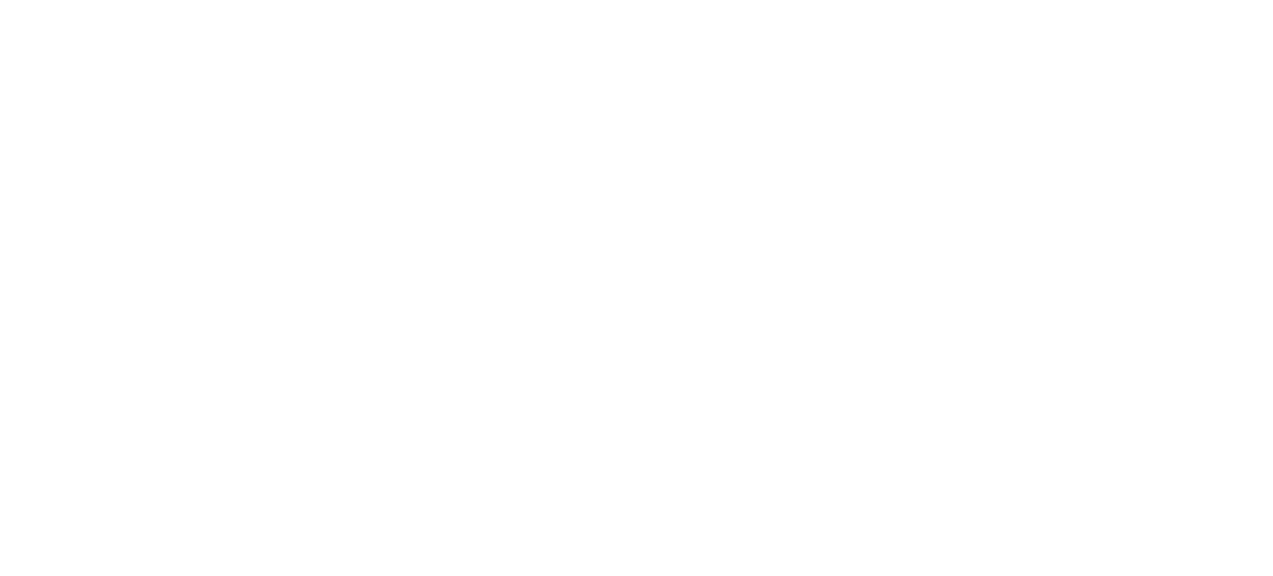 Logo-white